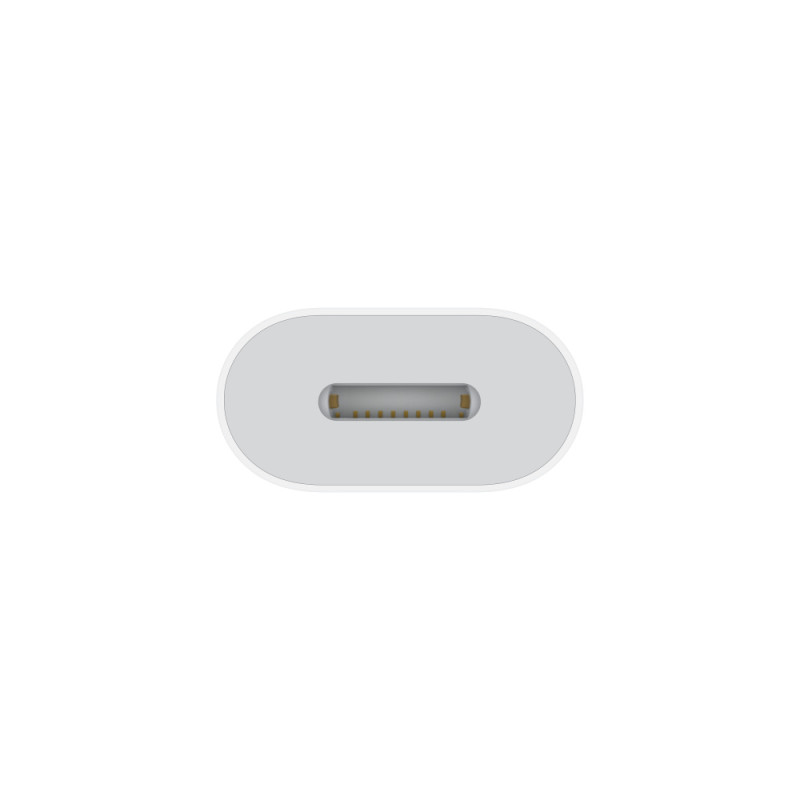 APPLE - USB-C to Lightning Adapter / SK