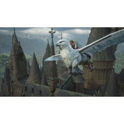 WARNER BROS - NS2 - Hogwarts Legacy