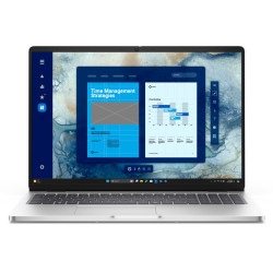 Dell Pro 16/PC16255/AI5PRO-340/16''/WUXGA/16GB/512GB/AMD int/W11P/Platinum/3R NBD