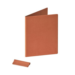 E-book ONYX BOOX Puzdro pre GO 10.3 (Gen1 a Gen2), orange