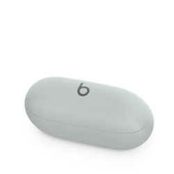 APPLE - Beats Solo Buds/ANC/BT/Bezdrať/Storm Grey