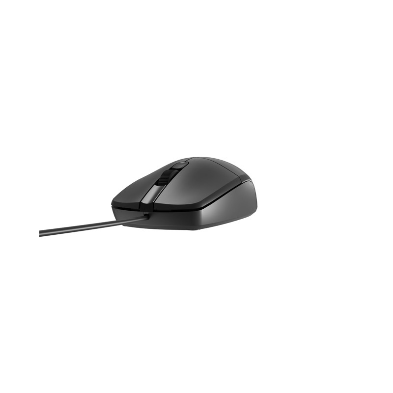 Natec optická myš RUFF 2/1 000 DPI/Kancelárska/Optická/1 000 DPI/Drôtová USB/Čierna