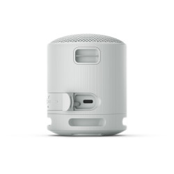 Sony SRS-XB100/Mono/Sivá