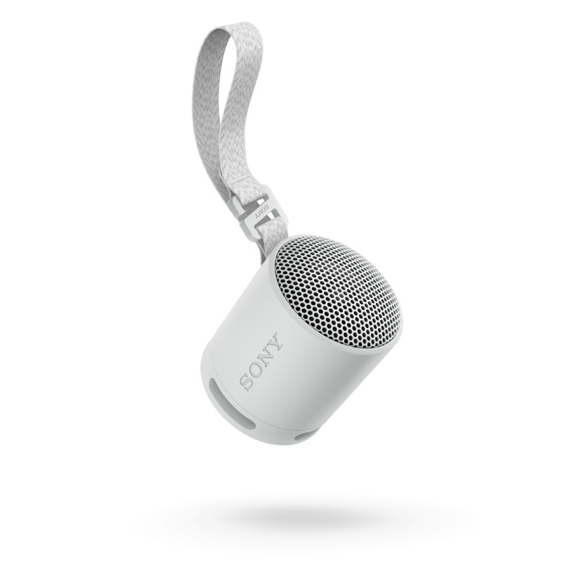 Sony SRS-XB100/Mono/Sivá