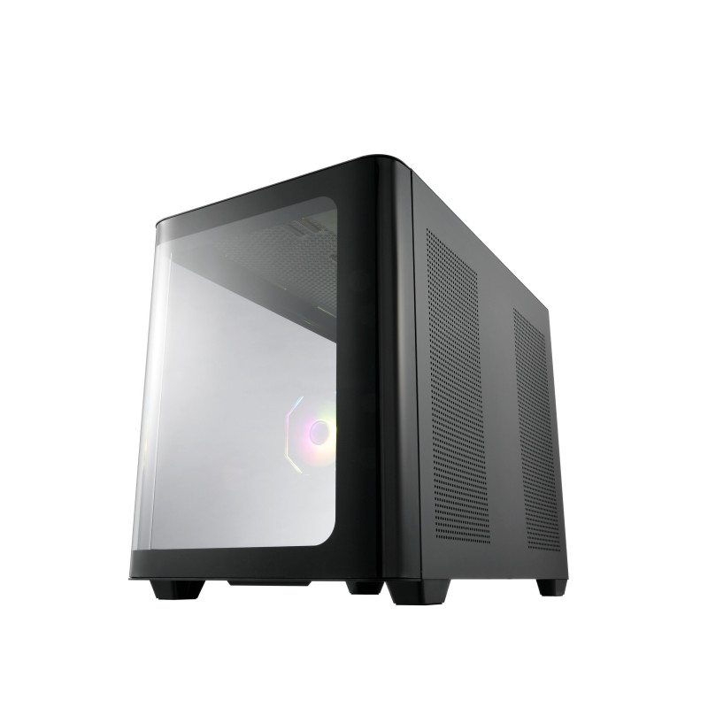 FSP S380-BA/Micro ATX/Transpar./Čierna