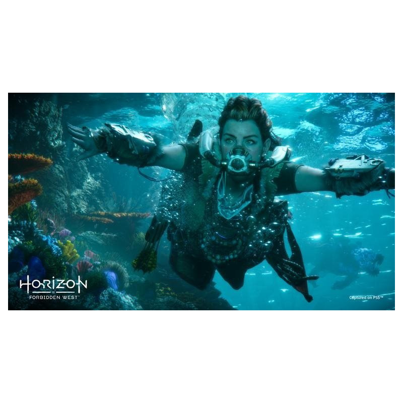 SONY PLAYSTATION - PS4 - Horizon Forbidden West