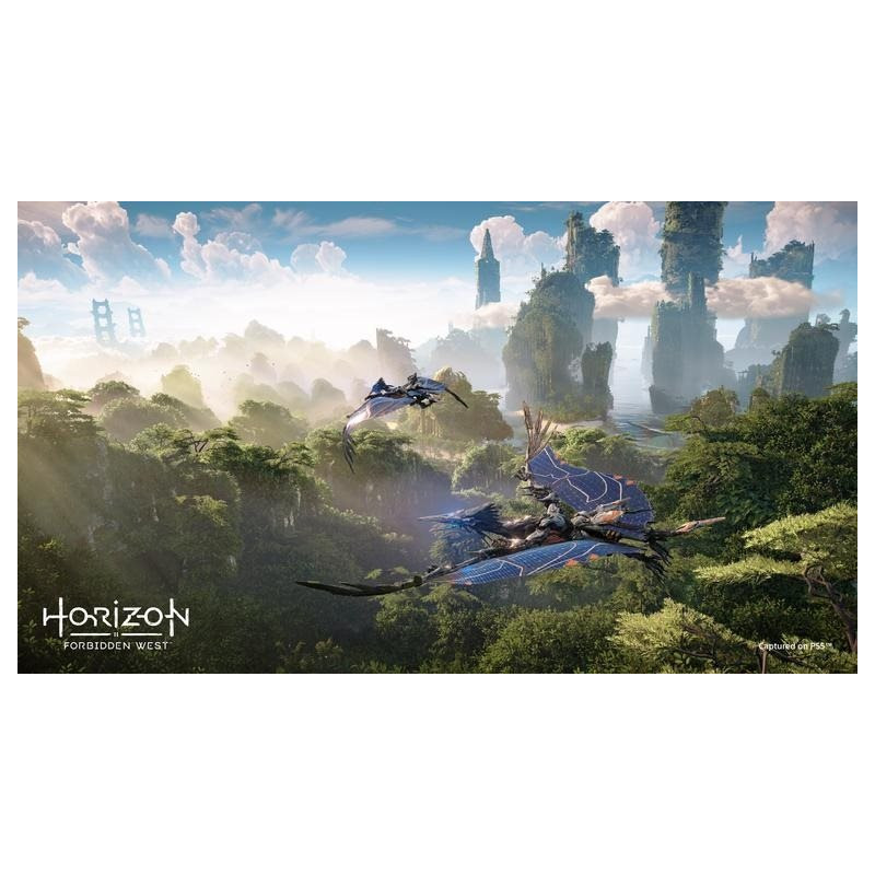 SONY PLAYSTATION - PS4 - Horizon Forbidden West
