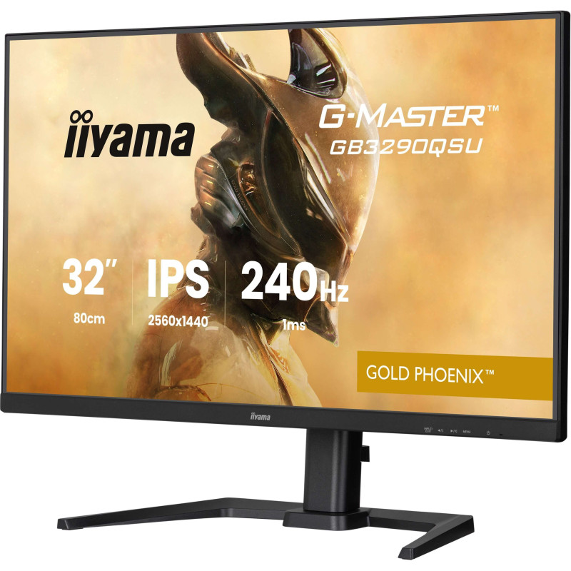 iiyama G-Master/GB3290QSU-B1/31,5''/IPS/QHD/240Hz/1ms/Čierna/3R
