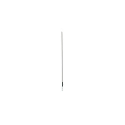 55'' LG OLED 55EW5Q - FHD, 600cd, transparent, 18/7