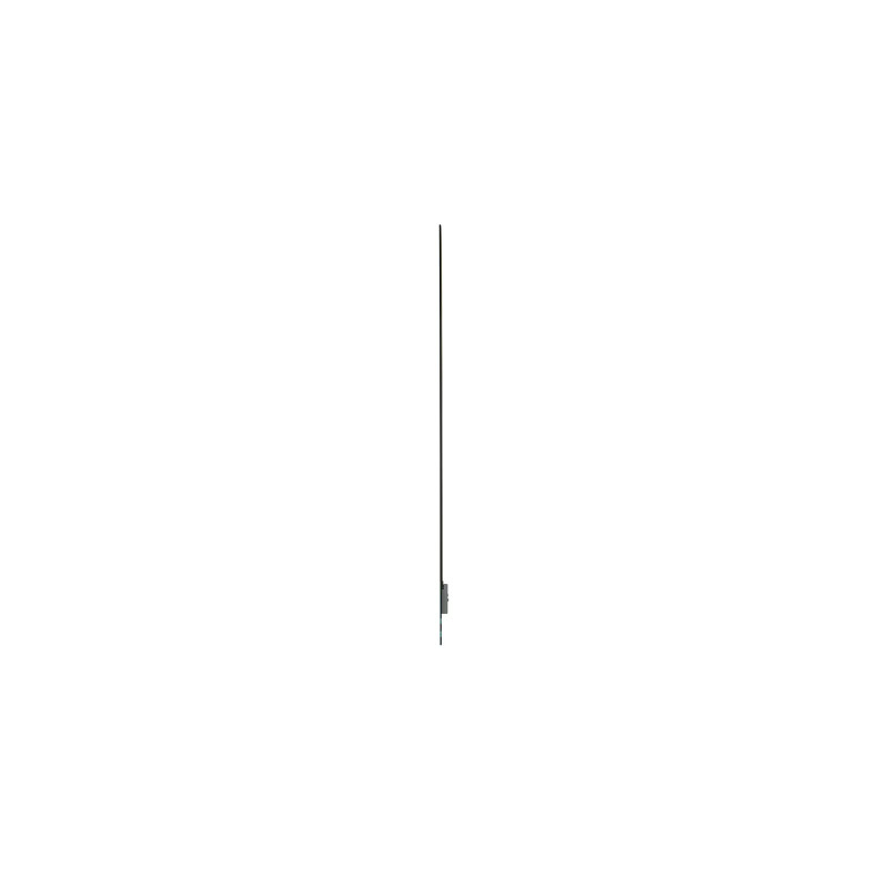 55'' LG OLED 55EW5Q - FHD, 600cd, transparent, 18/7