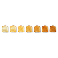 Salente ToastMax topinkovač s digitálnym displejom, nerez