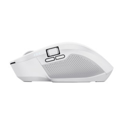 Trust Ozaa+/Kancelárska/Optická/Pre pravákov/3 200 DPI/USB+BT/Biela