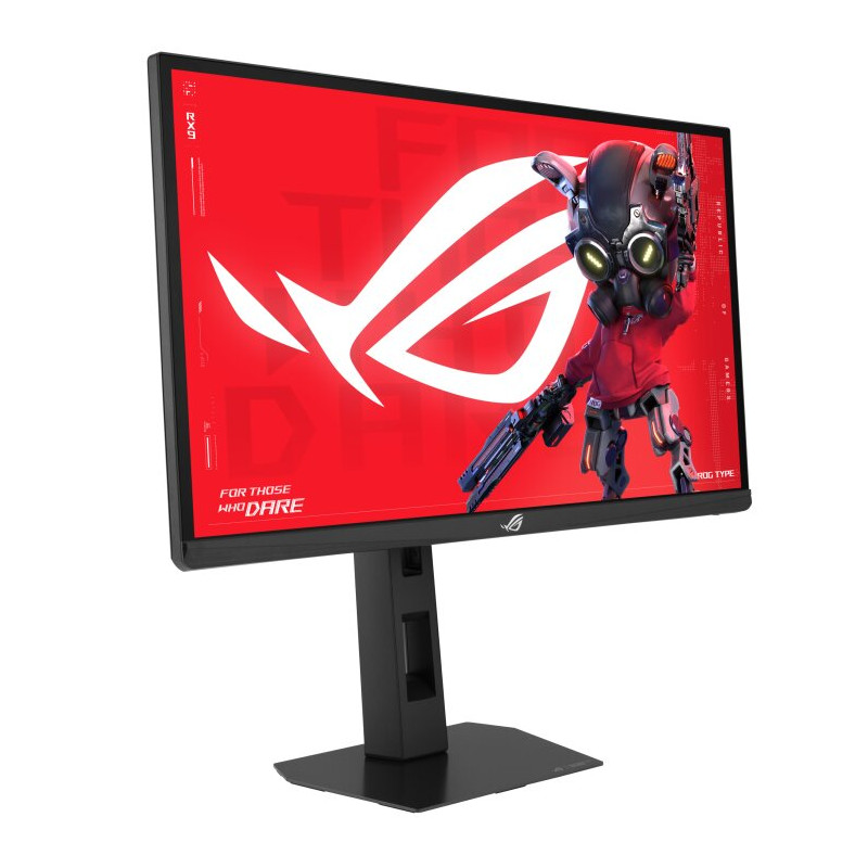 24'' LCD ASUS XG248QSG