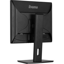 iiyama ProLite/B1980S-B1/19''/TN/1280x1024/75Hz/3ms/Black/3R