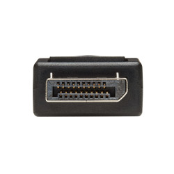 EATON - Video adaptér DisplayPort / DVI (Samec/Samice), 15.2cm