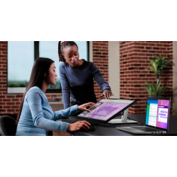 24'' LCD Dell P2424HT Touch 5ms/16:9/mat/USB-C/repr