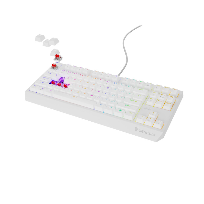 Genesis herná klávesnica THOR 230/TKL/RGB/Outemu Red/Drôtová USB/US layout/Biela