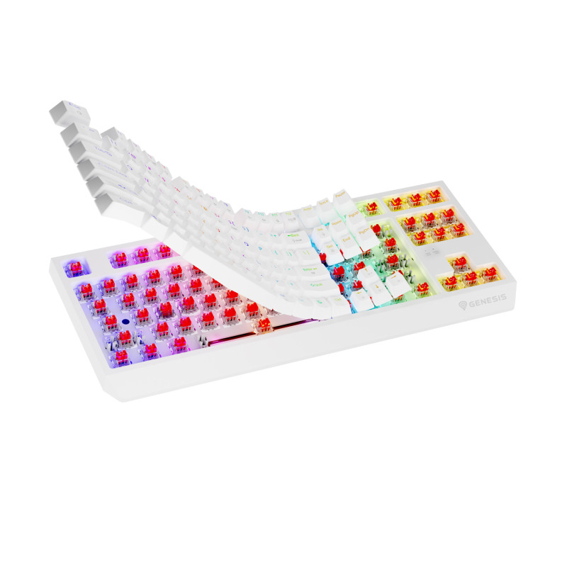 Genesis herná klávesnica THOR 230/TKL/RGB/Outemu Red/Drôtová USB/US layout/Biela