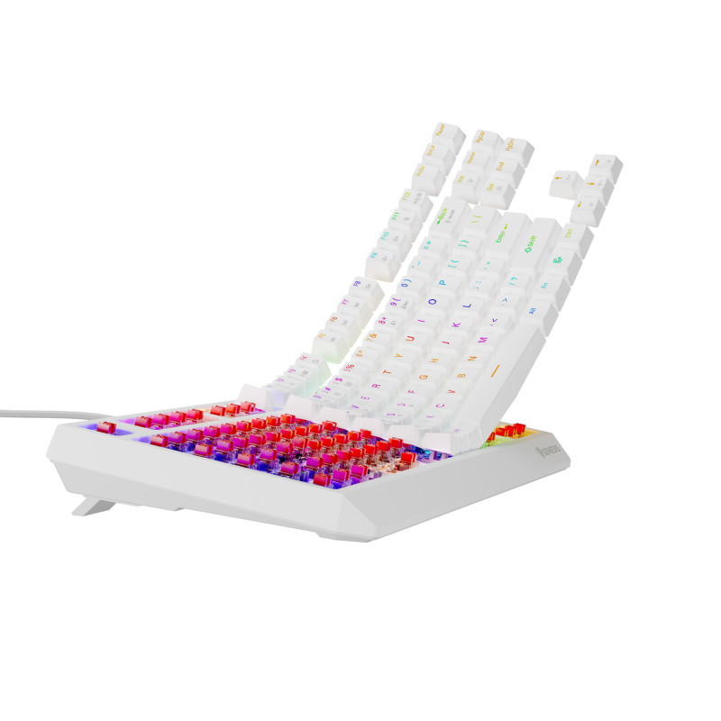 Genesis herná klávesnica THOR 230/TKL/RGB/Outemu Red/Drôtová USB/US layout/Biela