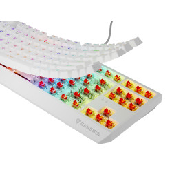 Genesis herná klávesnica THOR 230/TKL/RGB/Outemu Red/Drôtová USB/US layout/Biela