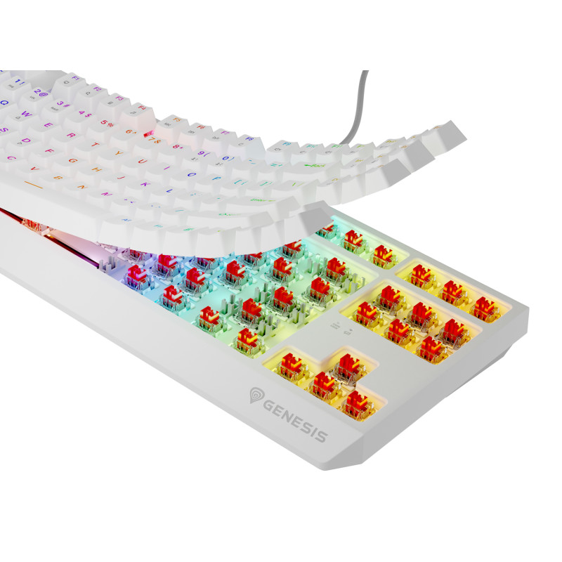 Genesis herná klávesnica THOR 230/TKL/RGB/Outemu Red/Drôtová USB/US layout/Biela