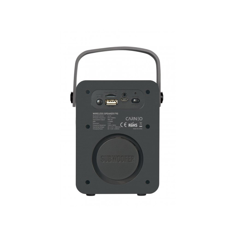 CARNEO F90 FM rádio, BT reproduktor, black/wood