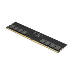 Lexar/DDR5/16GB/4800MHz/CL40/1x16GB