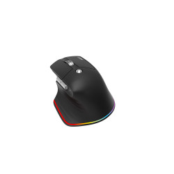 Acer Easy Fit/Ergonomická/Optická/Pre pravákov/4 000 DPI/USB+BT/Čierna