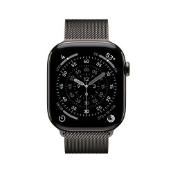 Apple Watch S11 Cell/46/Elegant Band/Slate