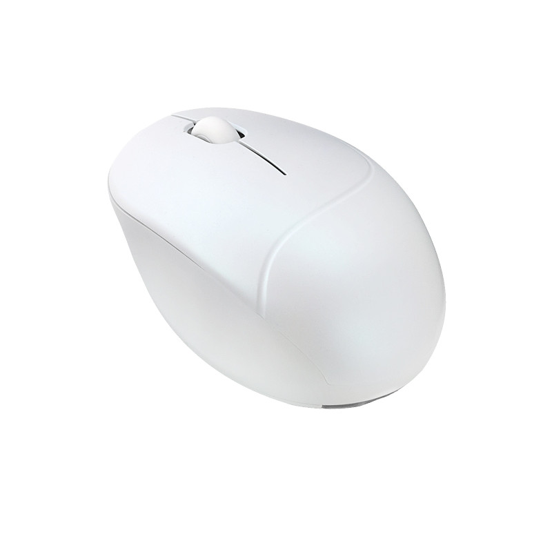 ASUS Fragrance Mouse MD101/Ergonomická/Optická/2 400 DPI/USB+BT/Biela