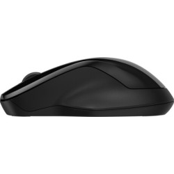 HP 250/Kancelárska/Optická/1 600 DPI/USB+BT/Čierna
