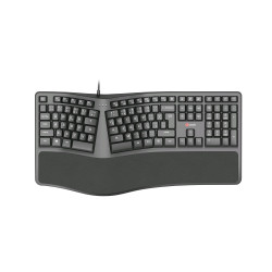 Klávesnica C-TECH KB-113E USB, ERGO, čierna, CZ/ SK