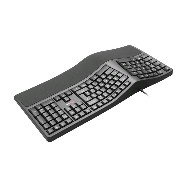 Klávesnica C-TECH KB-113E USB, ERGO, čierna, CZ/ SK
