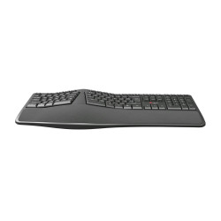 Klávesnica C-TECH KB-113E USB, ERGO, čierna, CZ/ SK