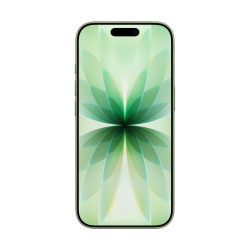 Apple iPhone 17/256GB/Sage