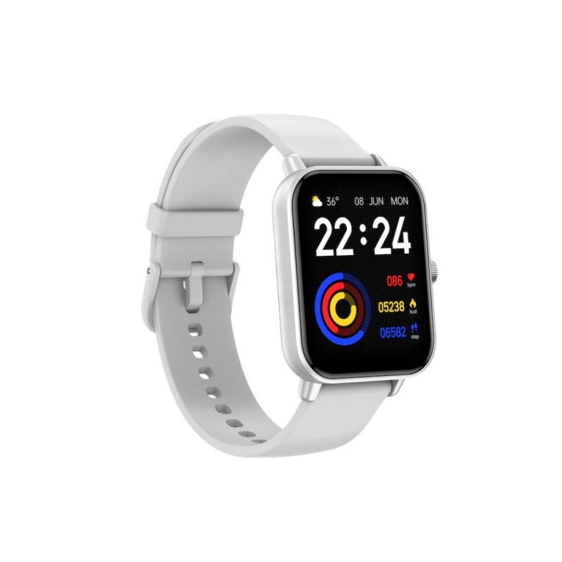 CARNEO Versa HR+/Silver/Šport Band/White