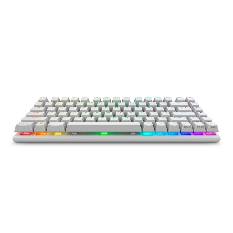 DELL - Alienware/Bezdrôtová USB + Bluetooth/IE layout/Biela