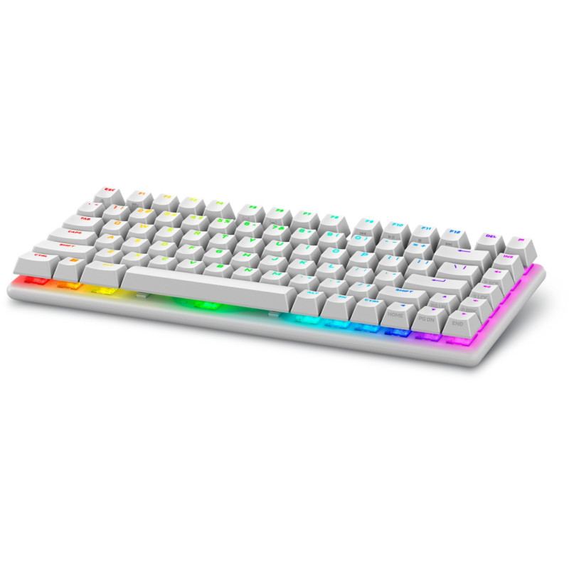 DELL - Alienware/Bezdrôtová USB + Bluetooth/IE layout/Biela