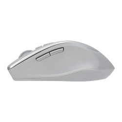ASUS WT425/Ergonomická/Optická/Pre pravákov/1 600 DPI/Bezdrôtové USB/Strieborná