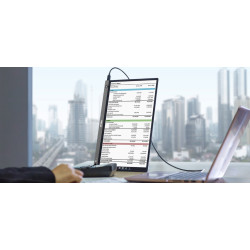 15,6'' WLED ASUS MB16AHP