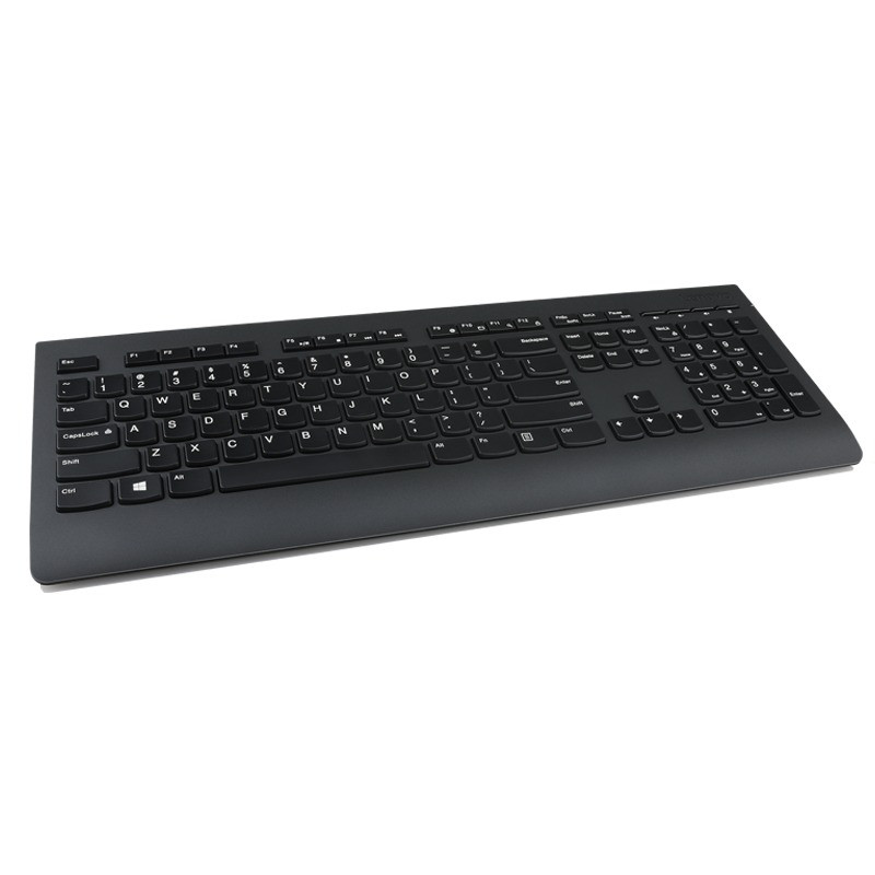 Lenovo Professional Wireless Keyboard/Bezdrôtové USB/CZ/SK/Čierna