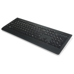 Lenovo Professional Wireless Keyboard/Bezdrôtové USB/CZ/SK/Čierna