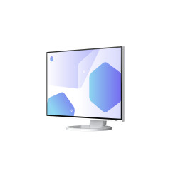 EIZO FlexScan/EV2485/24''/IPS/FHD/60Hz/5ms/White/5R
