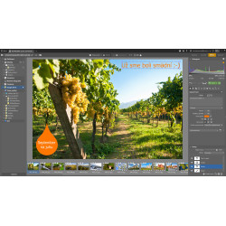 ZONER SOFTWARE - Zoner Studio na 1 rok pre 1 užívateľa