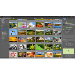 ZONER SOFTWARE - Zoner Studio na 1 rok pre 1 užívateľa