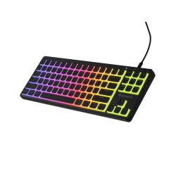 Mechanická herná klávesnica Genesis THOR 430 TKL/Drôtové USB-A/US/Čierna