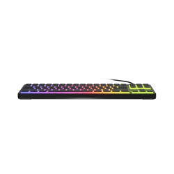 Mechanická herná klávesnica Genesis THOR 430 TKL/Drôtové USB-A/US/Čierna