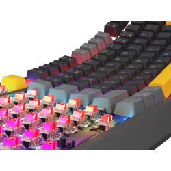 Genesis herná klávesnica THOR 230/TKL/RGB/Outemu Red/Drôtová USB/US layout/Anchor Positive Šedá