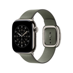 APPLE - Watch Acc/42/Sage Gray Modern Buckle - L