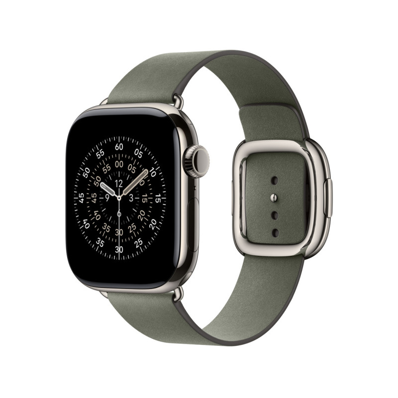APPLE - Watch Acc/42/Sage Gray Modern Buckle - L